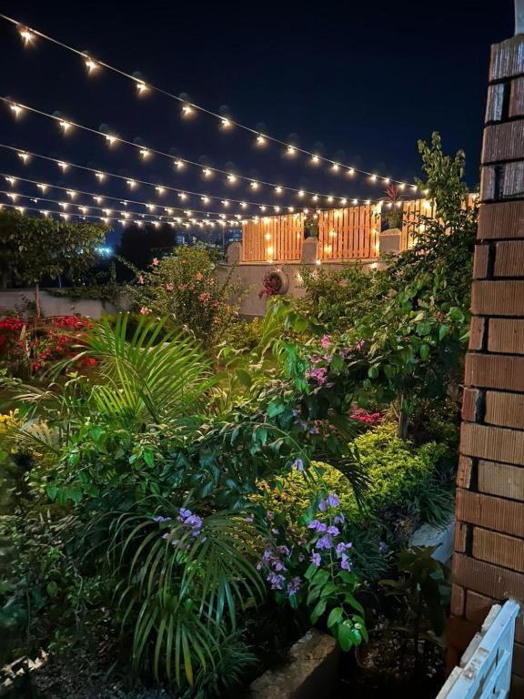 City Oasis By Siima _ Hidden Gem City Family Home Kampala Exteriör bild